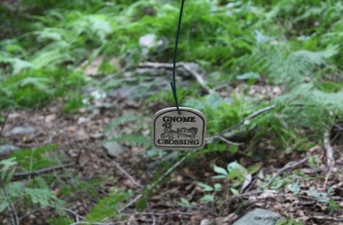 A wooden sign reading "Gnome Crossing" hangs in a lush, green forest with ferns and scattered rocks.