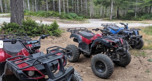 Four all-terrain vehicles parked on a dirt path surrounded by trees and greenery.