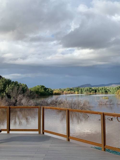 A scenic view of a river surrounded by trees, with a cloudy sky and a wooden railing in the foreground.
