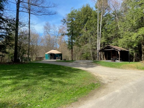 A gravel path leads to two structures surrounded by trees, with a clear blue sky above.