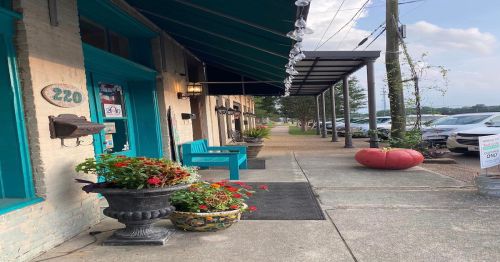 A charming storefront with teal accents, potted plants, and a covered walkway, lined with parked cars and greenery.