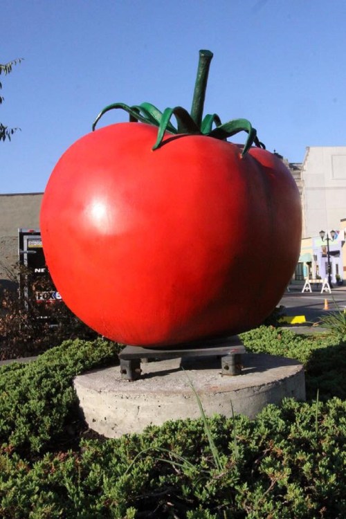 A large, bright red tomato sculpture on a concrete base, surrounded by greenery under a clear blue sky.