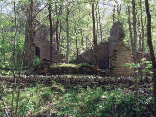 Ruins of a stone structure surrounded by lush green trees and vegetation in a forested area.