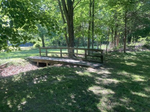 A wooden bridge in a lush green forest, surrounded by trees and dappled sunlight.