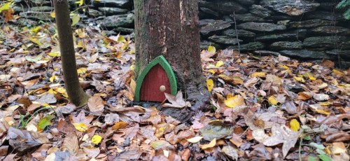 A small, whimsical door at the base of a tree, surrounded by fallen leaves and a stone wall.