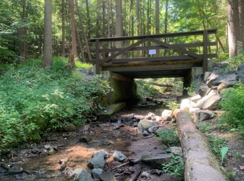 A wooden bridge spans a small stream surrounded by lush greenery and trees in a serene forest setting.