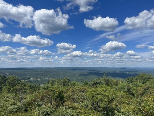 A panoramic view of lush green hills under a bright blue sky filled with fluffy white clouds.