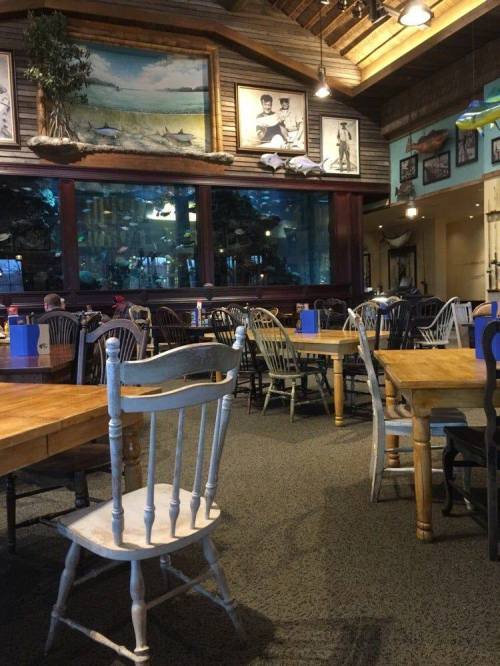 A cozy restaurant interior with wooden tables, mismatched chairs, and large windows showcasing a scenic view.