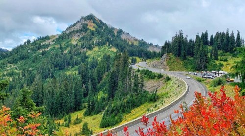 A winding road curves through lush green mountains, with vibrant red foliage in the foreground and cloudy skies above.
