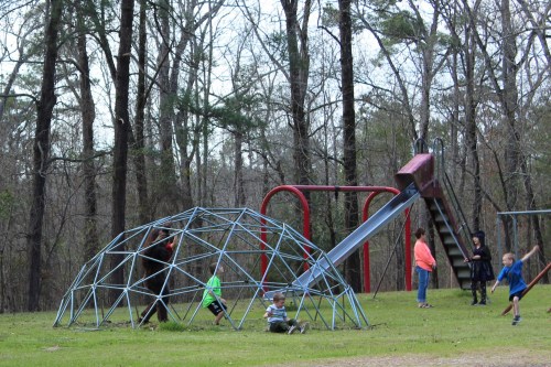 Children playing on a playground with a climbing dome, slide, and swings, surrounded by trees in a park.
