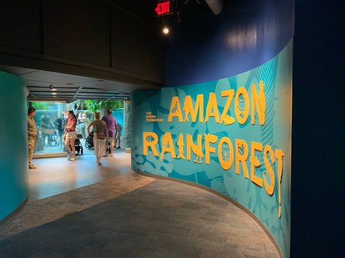 A colorful sign reading "Amazon Rainforest" in an exhibit, with visitors observing a tank in the background.