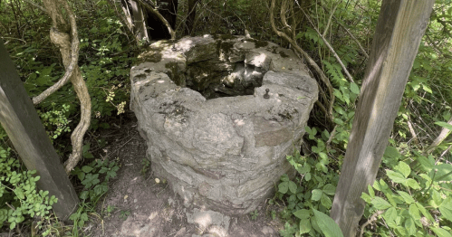 A stone well surrounded by greenery and vines, partially shaded by trees.