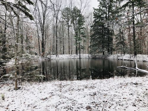 A serene pond surrounded by snow-covered trees in a winter forest. Reflections of trees are visible in the water.