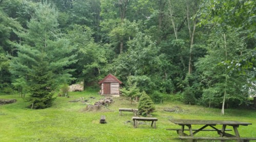 A small log cabin surrounded by lush greenery and trees, with a picnic table in the foreground.