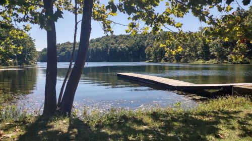 A serene lake surrounded by trees, with a wooden dock extending into the calm water under a clear blue sky.
