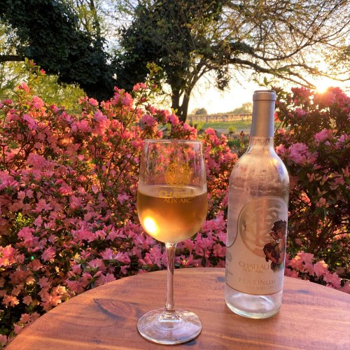 A glass of white wine beside a bottle, set against blooming pink flowers and a sunset backdrop.