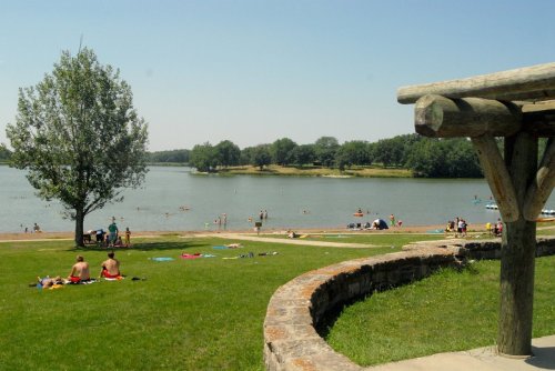 A sunny lakeside scene with people swimming and relaxing on the grass, surrounded by trees and a sandy beach.