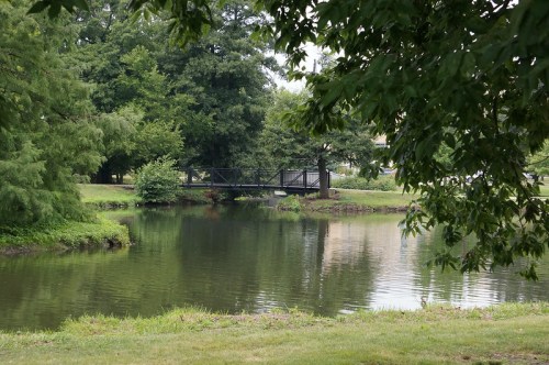 A serene park scene featuring a calm pond and a small black bridge surrounded by lush greenery.