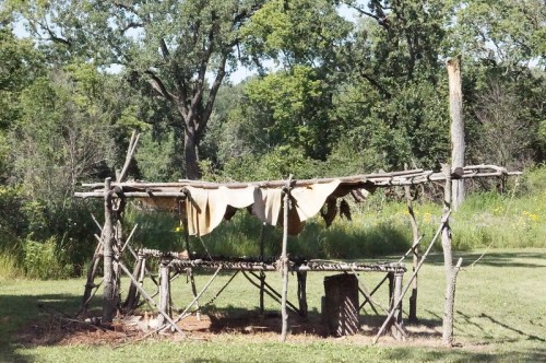 A rustic shelter made of wooden sticks and animal hides, surrounded by greenery and trees.
