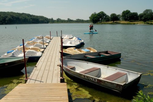 A wooden dock with paddle boats and a person paddleboarding on a calm lake surrounded by greenery.