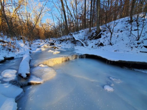 A serene winter scene of a frozen stream surrounded by snow-covered trees and sunlight filtering through the branches.