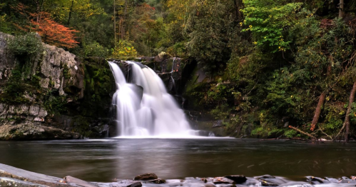 A serene waterfall cascades into a calm pool, surrounded by lush greenery and autumn foliage.