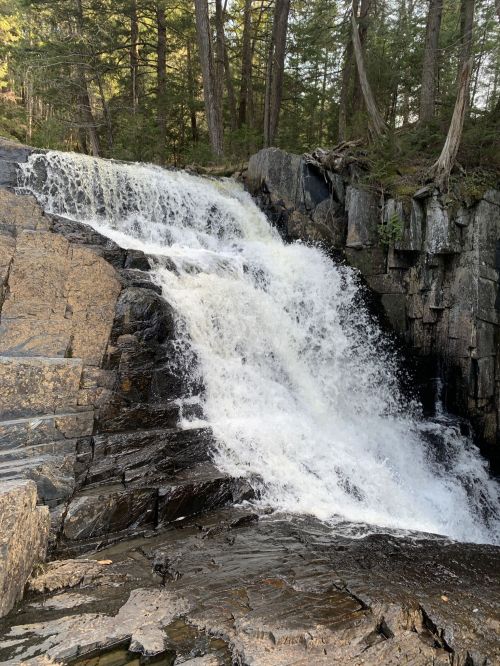 A cascading waterfall flows over rocky terrain, surrounded by lush green trees in a serene natural setting.