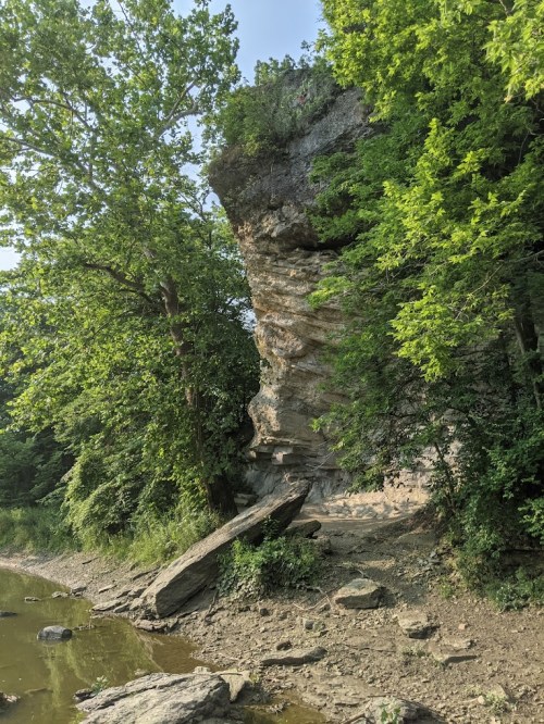 A rocky cliff surrounded by lush green trees, with a small stream and rocky terrain in the foreground.
