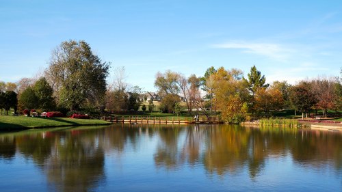 A serene park scene featuring a calm pond, lush greenery, and colorful autumn trees under a clear blue sky.
