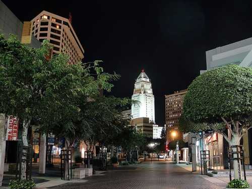 Nighttime view of a city street lined with trees, featuring a tall building with a lit clock tower in the background.