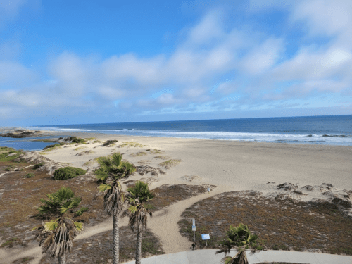 A serene beach scene with gentle waves, sandy shore, and palm trees under a partly cloudy sky.