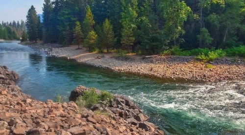 A serene river flows through a rocky landscape, surrounded by lush green trees and a sandy shore.