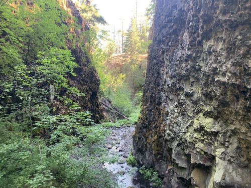 A narrow canyon with tall, moss-covered rock walls and a small stream running through lush greenery.