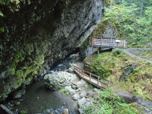 A wooden bridge crosses a stream in a lush, green forest with rocky cliffs and moss-covered surfaces.
