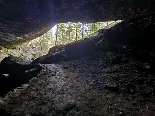 View from inside a cave, showing a rocky floor and sunlight streaming through the entrance, surrounded by trees.