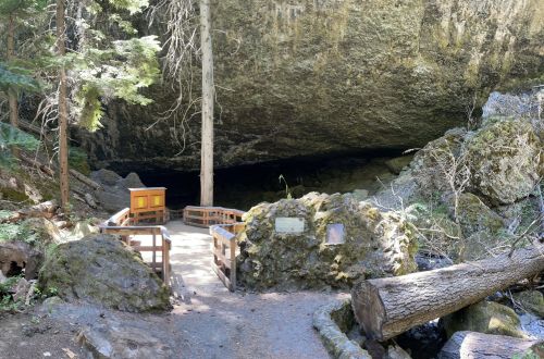 A wooden path leads to a cave entrance beneath a large rock overhang, surrounded by trees and mossy rocks.