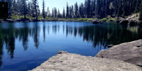 A serene lake surrounded by tall trees and rocky shores, reflecting the clear blue sky.