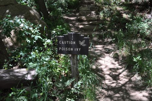 A wooden sign reading "Caution Poison Ivy" along a shaded, grassy trail surrounded by trees and rocks.