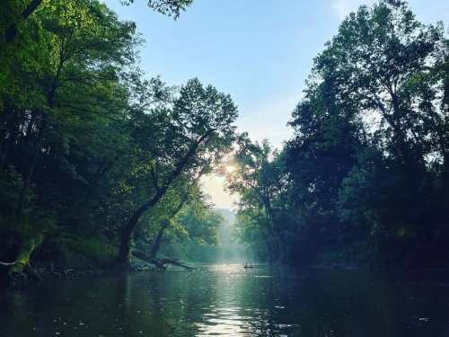 A serene river scene surrounded by lush trees, with soft sunlight filtering through the foliage.