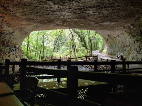 View from inside a cave, showcasing a lush forest and a wooden walkway leading outside. Natural light filters in.