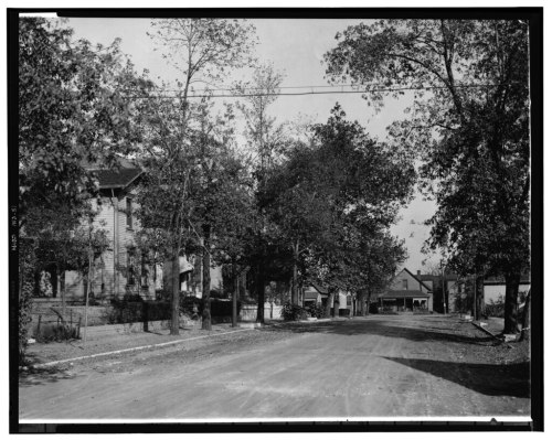 Black and white photo of a tree-lined street with houses and a distant building, capturing a serene neighborhood scene.
