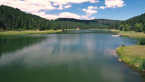A serene lake surrounded by lush green trees and a clear blue sky with fluffy clouds.