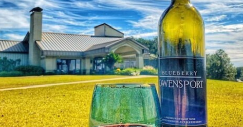 A bottle of blueberry wine and a glass sit on a grassy lawn, with a building and blue sky in the background.