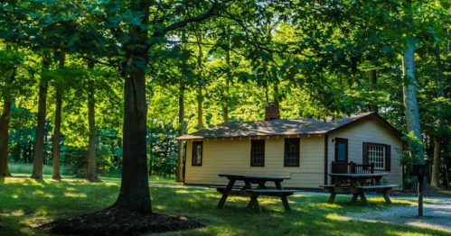 A small wooden cabin surrounded by trees, with picnic tables in front on a sunny day.