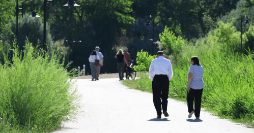 A couple walks on a path surrounded by tall grass, with other people in the background enjoying the park.