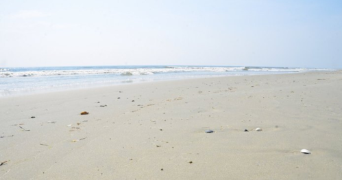 A serene beach scene with gentle waves lapping at the shore and scattered seashells on the sandy beach.