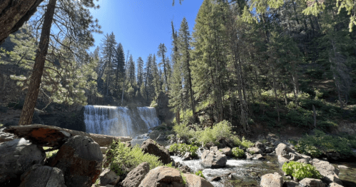 A serene waterfall surrounded by tall trees and rocky terrain under a clear blue sky.