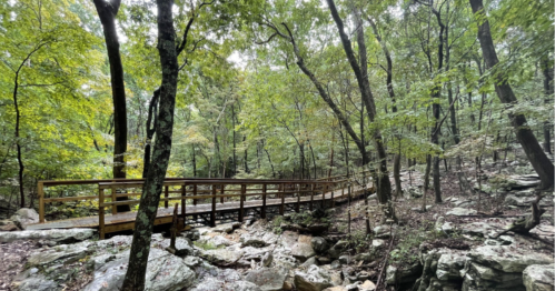A wooden bridge winding through a lush, green forest with rocky terrain and tall trees.