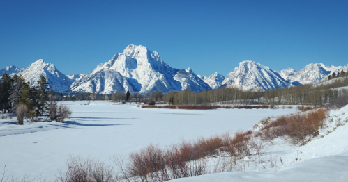 Snow-covered mountains rise against a clear blue sky, reflecting in a frozen river surrounded by trees and shrubs.