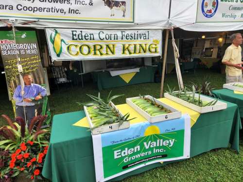 A display at the Eden Corn Festival featuring corn, a banner for Eden Valley Growers, and promotional materials.
